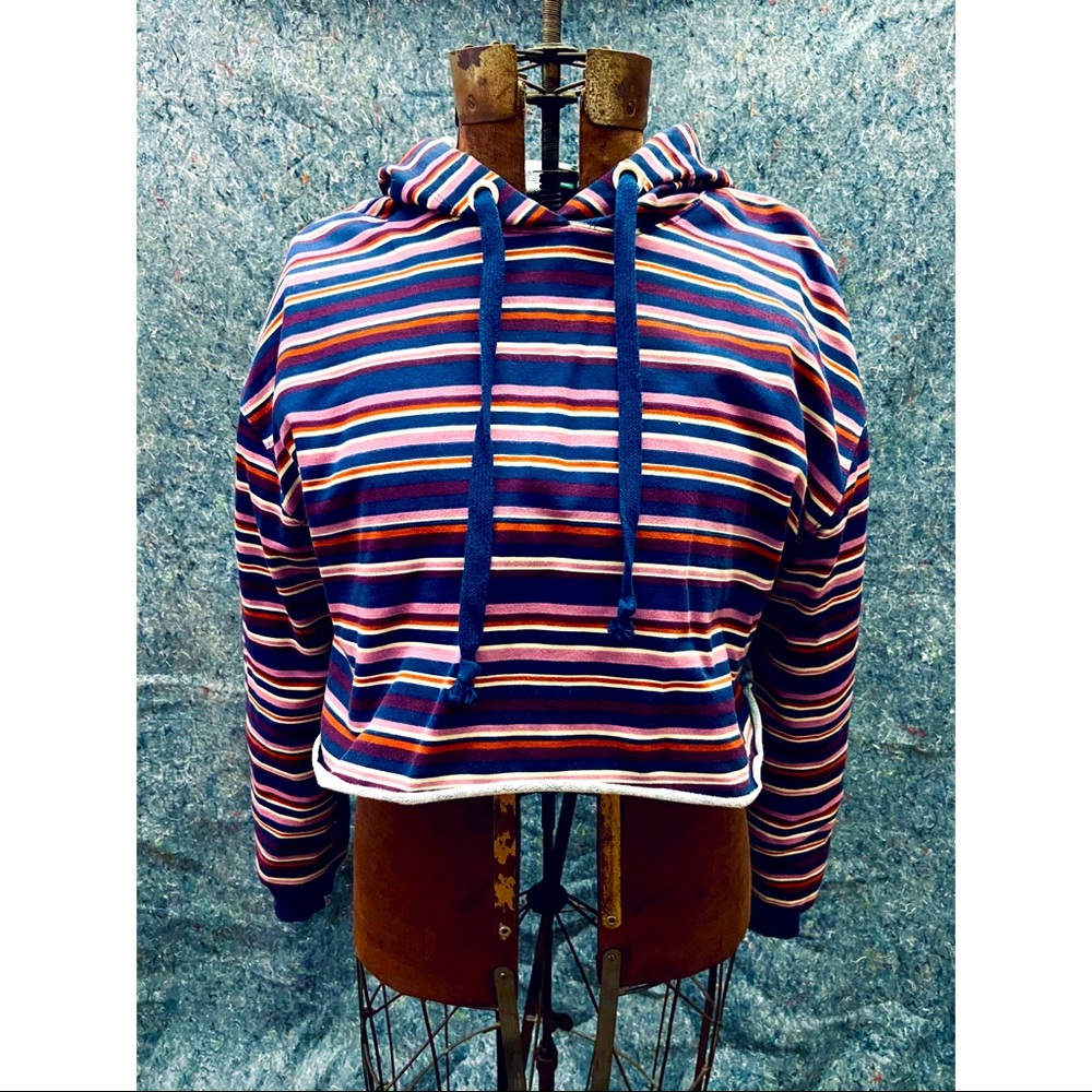 Wild Fable Cropped Striped Hoodie